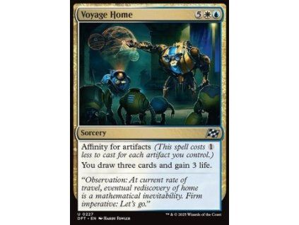 Voyage Home