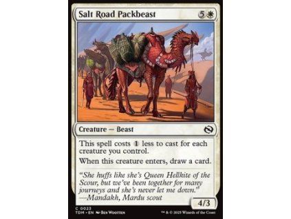 Salt Road Packbeast