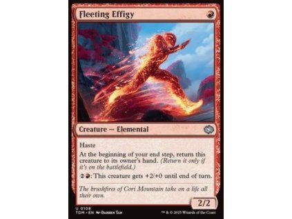 Fleeting Effigy