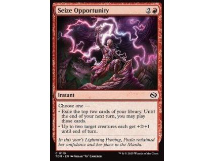 Seize Opportunity