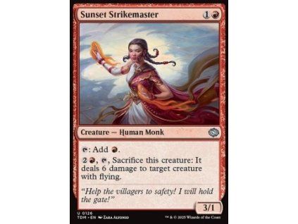 Sunset Strikemaster