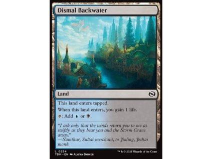 Dismal Backwater
