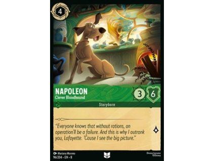 Napoleon - Clever Bloodhound