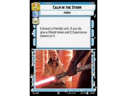 Calm in the Storm (V.1)