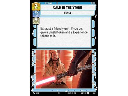 Calm in the Storm (V.2)