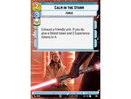 Calm in the Storm (V.2)