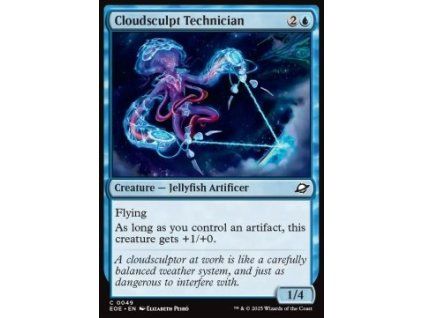 Cloudsculpt Technician
