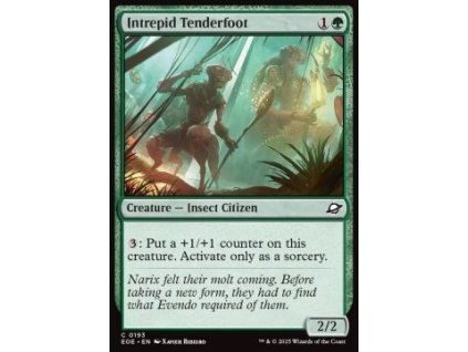 Intrepid Tenderfoot
