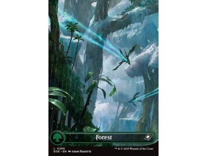 Forest - Full Art