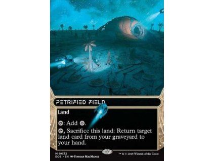 Petrified Field