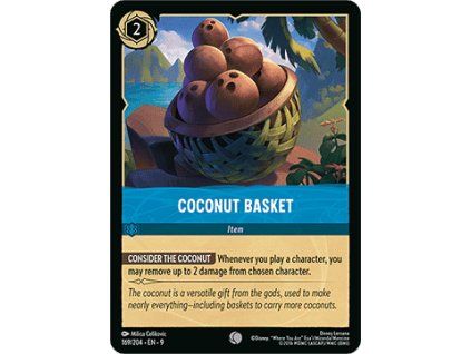 Coconut Basket
