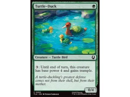 Turtle-Duck