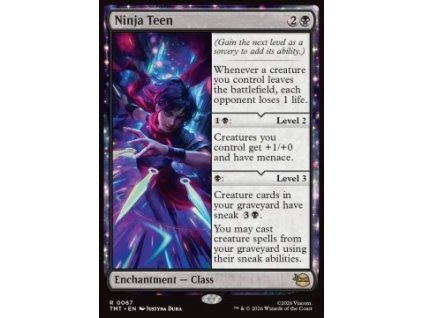 Ninja Teen