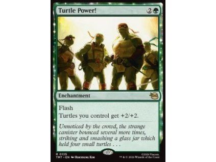 Turtle Power!