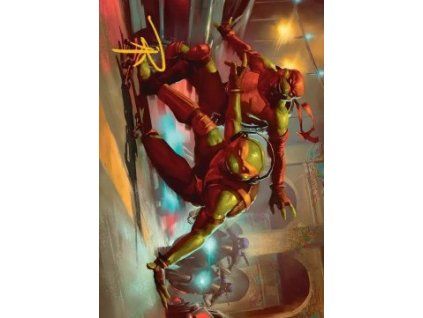 Art Series: Raph & Mikey, Troublemakers (V.2)