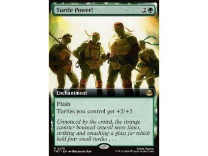 Turtle Power!