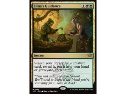 Dina's Guidance