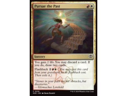 Pursue the Past