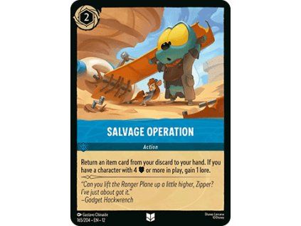 Salvage Operation