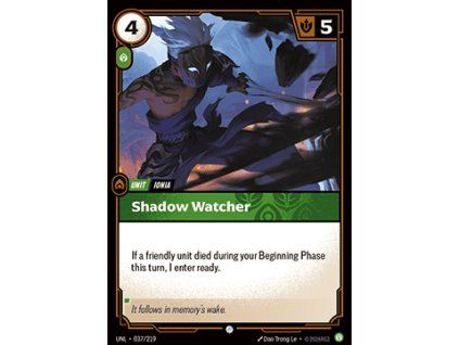 Shadow Watcher