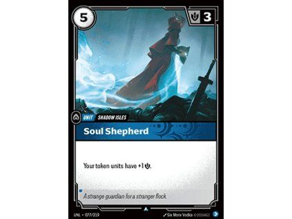 Soul Shepherd
