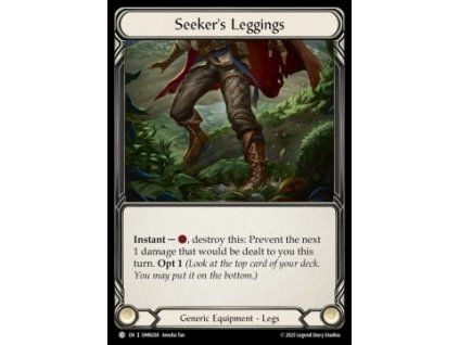 Seeker's Leggings (Regular)