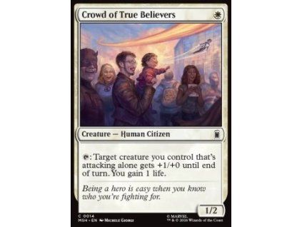 Crowd of True Believers