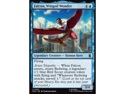Falcon, Winged Wonder