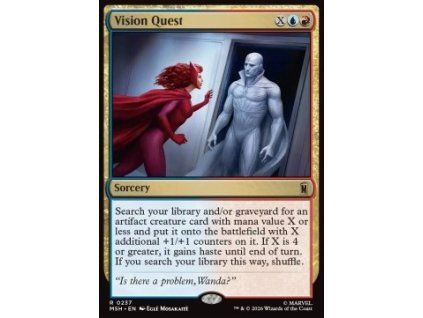 Vision Quest