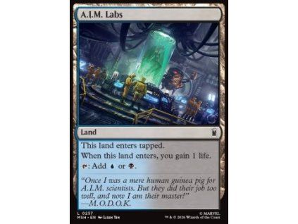 A.I.M. Labs