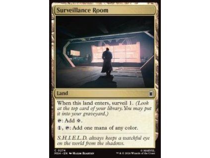 Surveillance Room