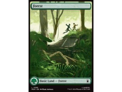 Forest (V.1)