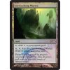 Encroaching Wastes - FNM FOIL (Foil NE, Stav Near Mint)