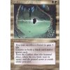 Dark Heart of the Wood (Foil NE, Stav Near Mint)