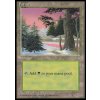 Forest (Foil NE, Stav Near Mint)