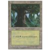 Forest - SP (Foil NE, Stav Light Played)