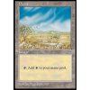Plains (Foil NE, Stav Played)