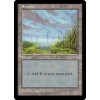 Swamp (Foil NE, Stav Near Mint)