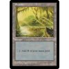 Swamp (Foil NE, Stav Near Mint)