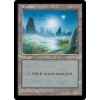 Swamp (Foil NE, Stav Near Mint)