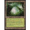 Jungle Basin (Foil NE, Stav Near Mint)