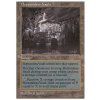 Bottomless Vault (Foil NE, Stav Played)