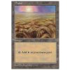 Plains (Foil NE, Stav Near Mint)