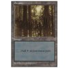 Swamp (Foil NE, Stav Near Mint)
