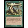 Cradle Guard (Foil NE, Stav Near Mint)