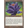 Blacker Lotus (Foil NE, Stav Near Mint)