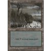 Swamp (Foil NE, Stav Near Mint)