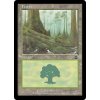 Forest (Foil NE, Stav Near Mint)