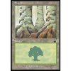 Forest (Foil NE, Stav Near Mint)