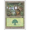 Forest (Foil NE, Stav Near Mint)